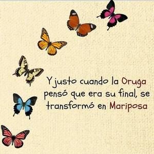 Meet your Posher, Araceli